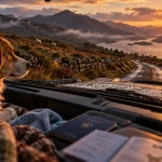 Road trip ecosse chien en 4x4 : chien près du pare-brise, Highlands